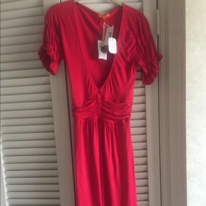 Michelle Jonas red dress